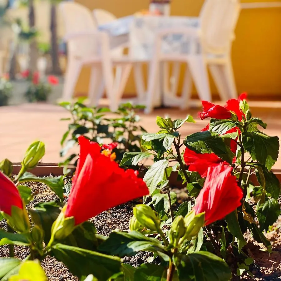 Casa Simona Apartment Corralejo